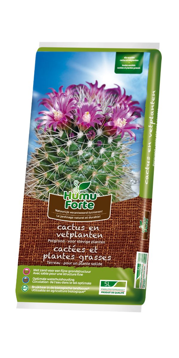 3D Cactus Zonder Mycoplus 12.9.14
